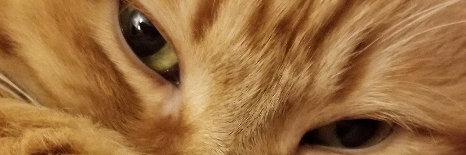 WalkingInAustin🍉🇵🇸 (Mostly Offline) banner