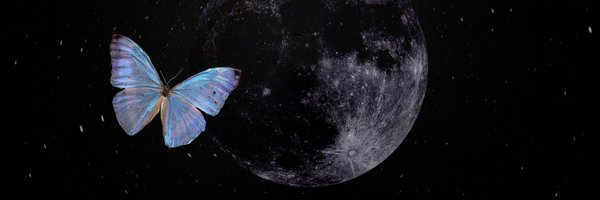 RoniMarsalis Profile Banner