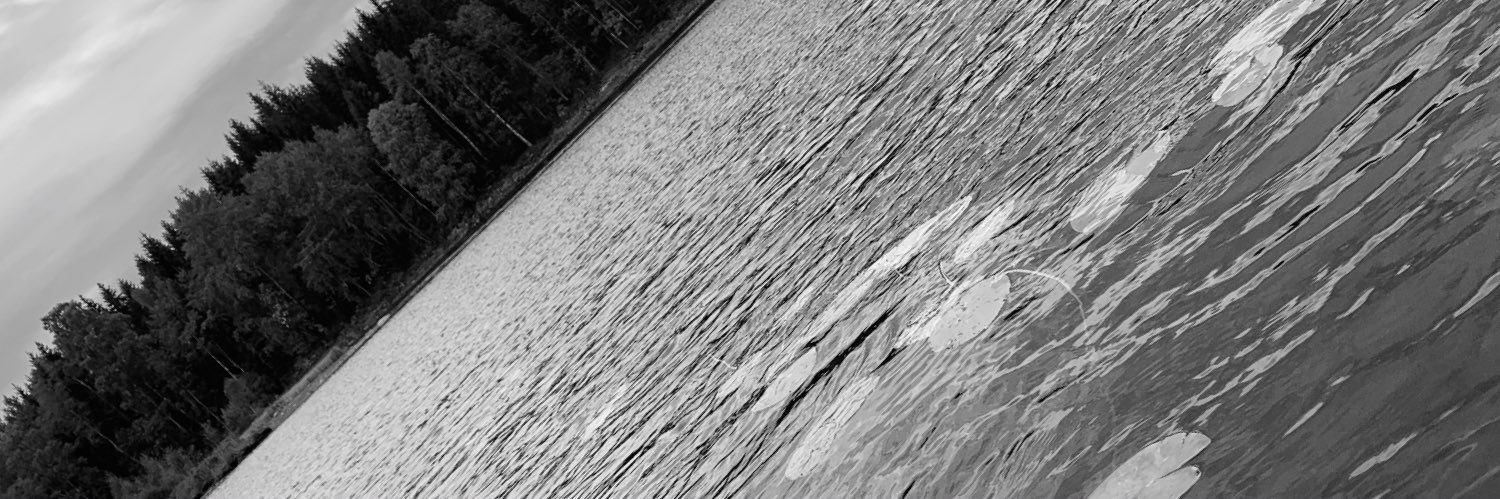 sjostrand85's profile banner image