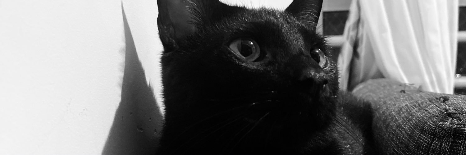 zeamario's profile banner image
