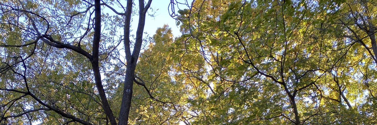 Ryen O'Meara banner