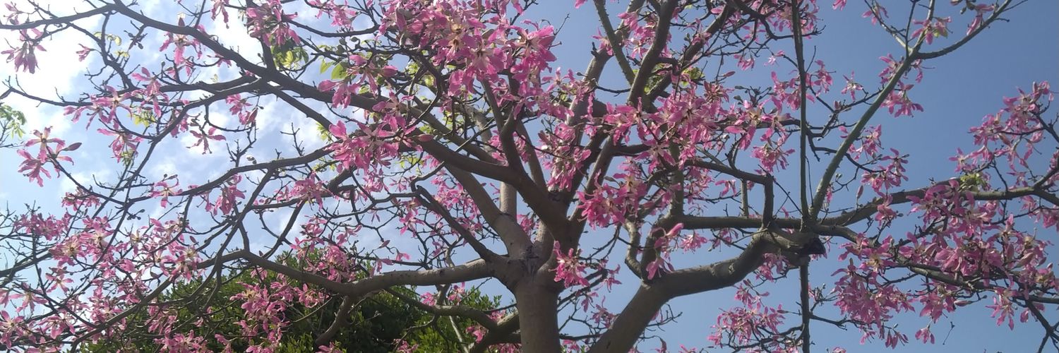 yahyadarmawan's profile banner image