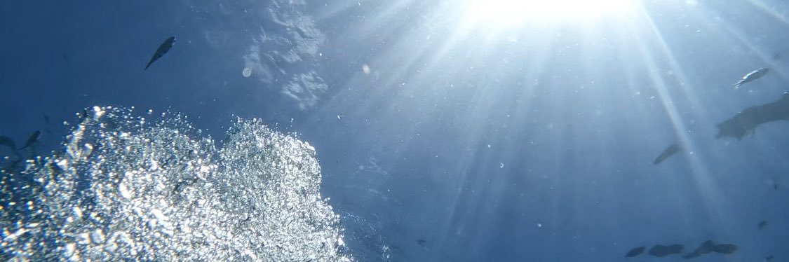 めんざこ🦑 banner