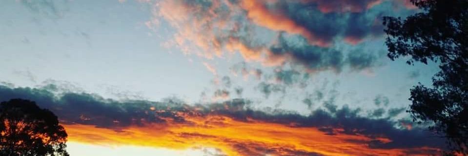 IrisNuche's profile banner image