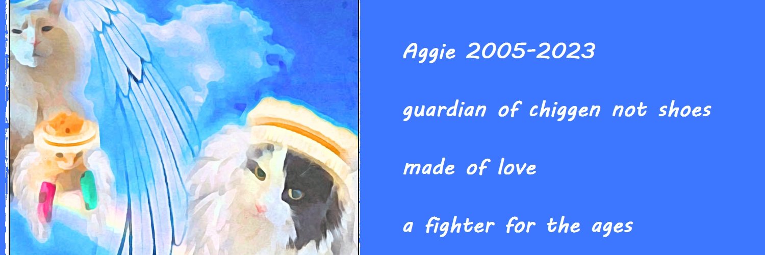 Spoopy Philip and Rollie (missing Aggie) 🇵🇸 banner