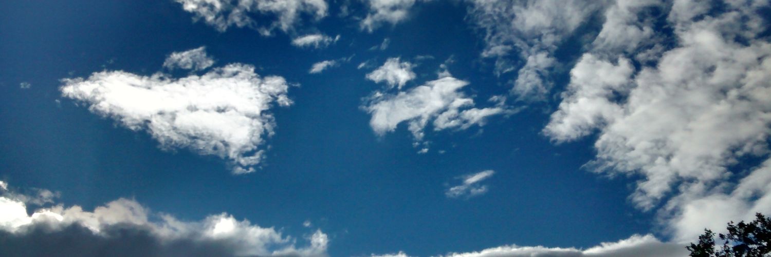 Evelyn Salazar banner