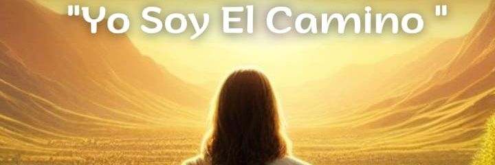 Otto_El_Profe's profile banner image