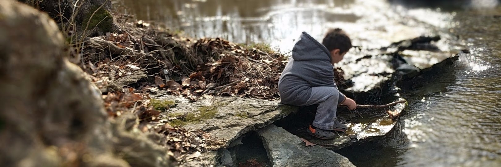 Michael Richardson banner