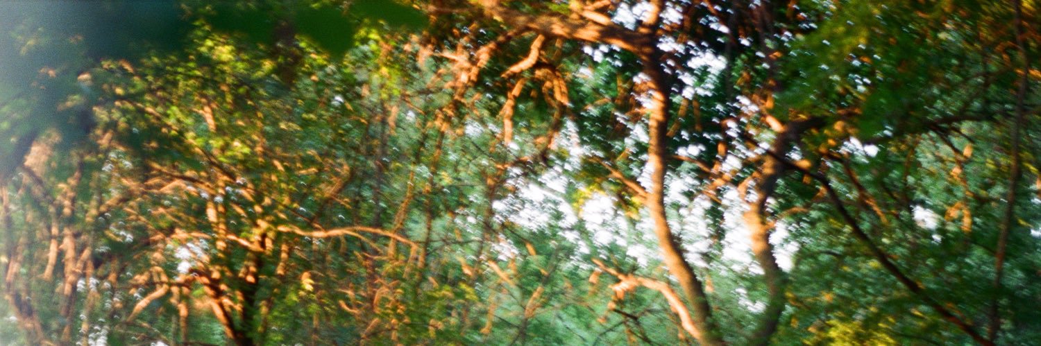 hittameteor's profile banner image