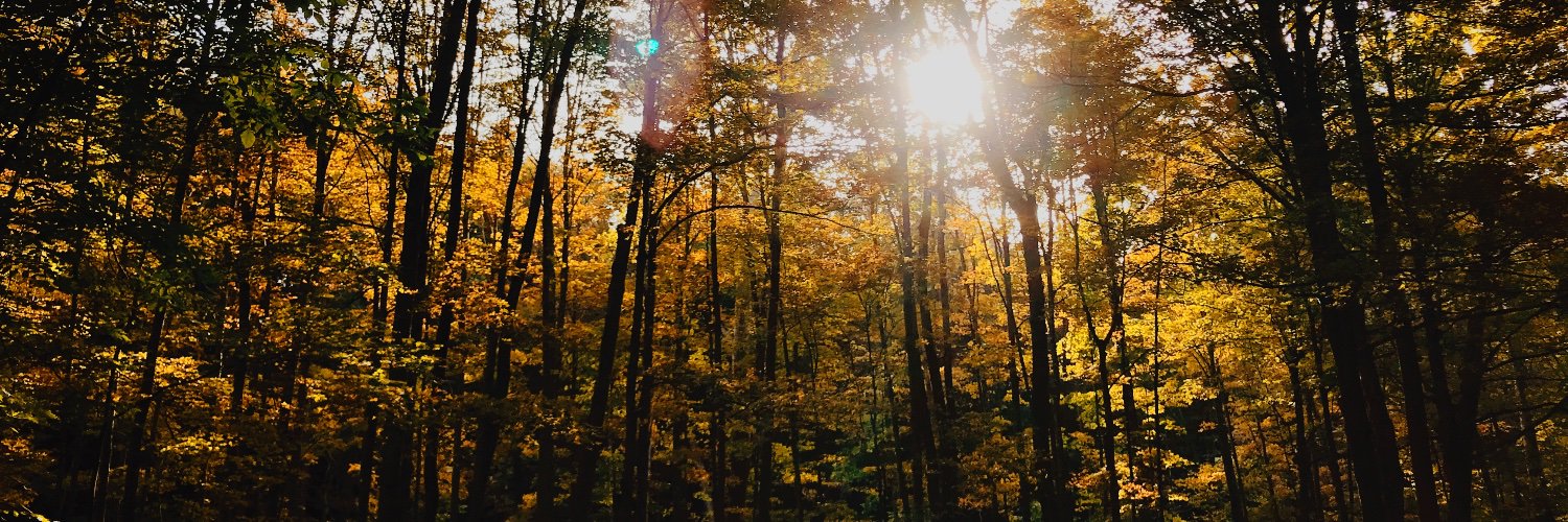 cbledsoeee's profile banner image