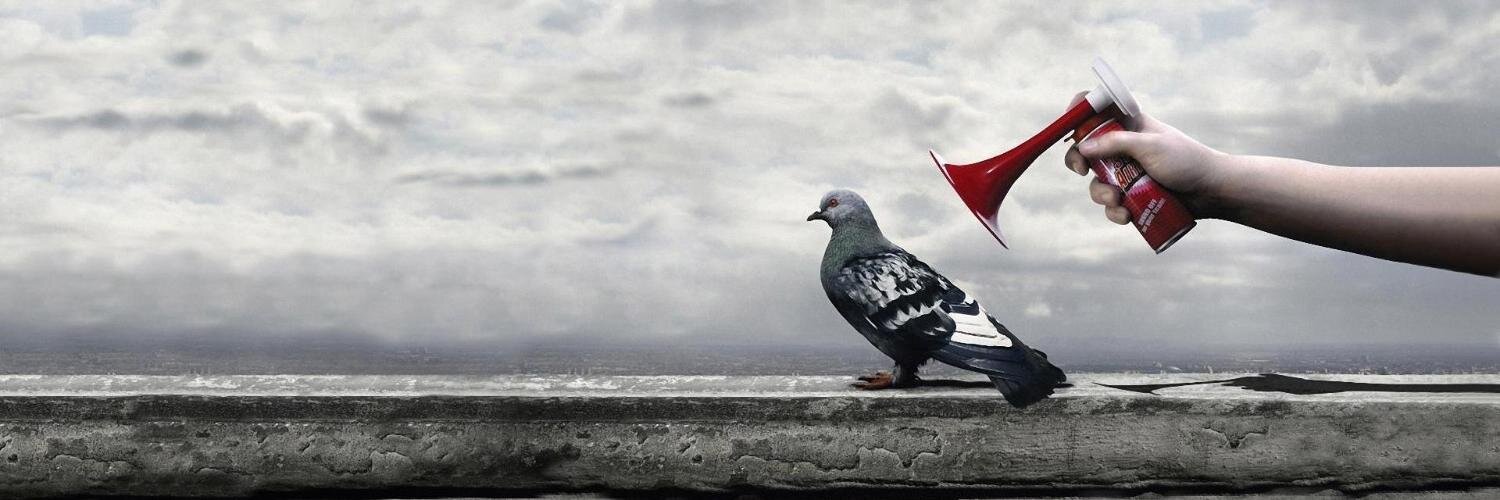 juanchogallon's profile banner image