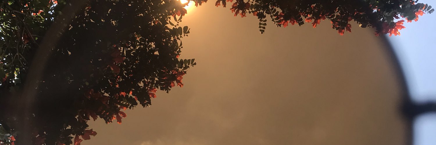 alorocha_'s profile banner image