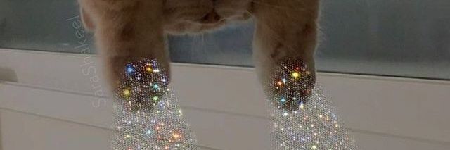 HG - banner