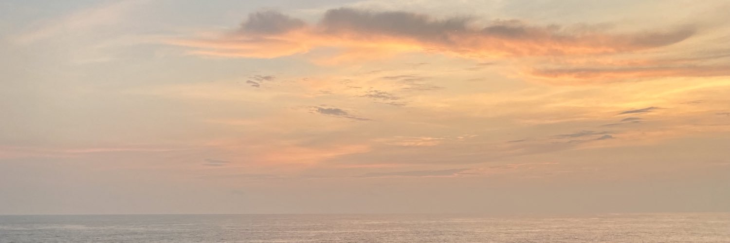 beidaavalos's profile banner image