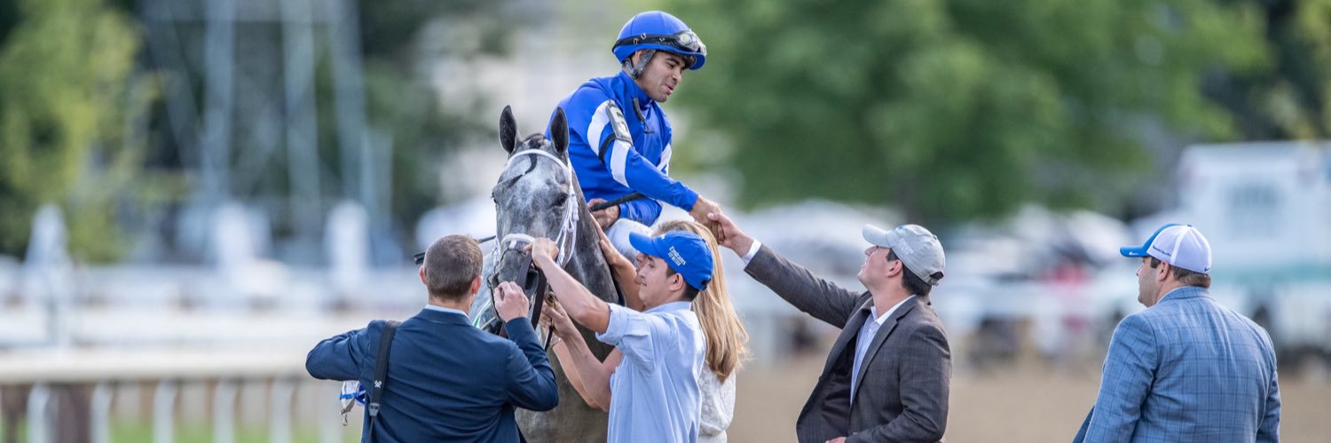 Trace Messina banner