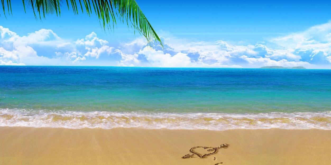 Bronzique's profile banner image