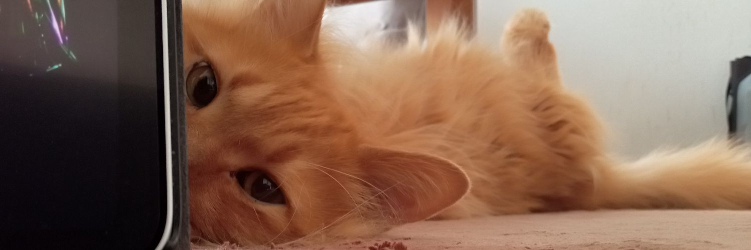 ss_roiro's profile banner image
