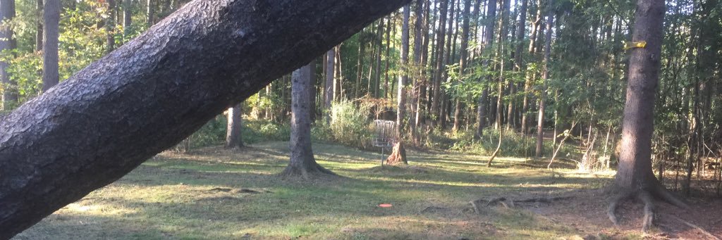 Otter_Bodybuild's profile banner image