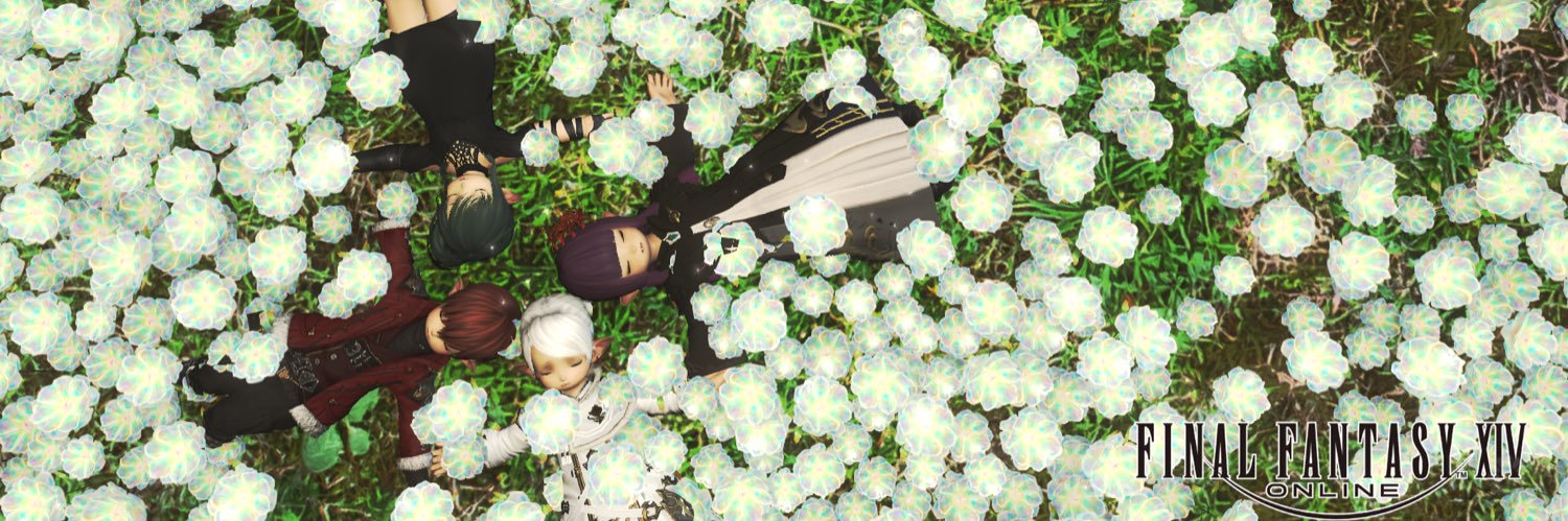 バラ_セレス@てむこ banner