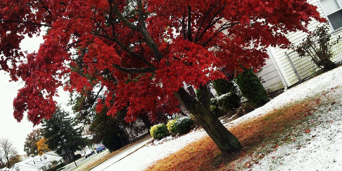 CourtneyChivon's profile banner image