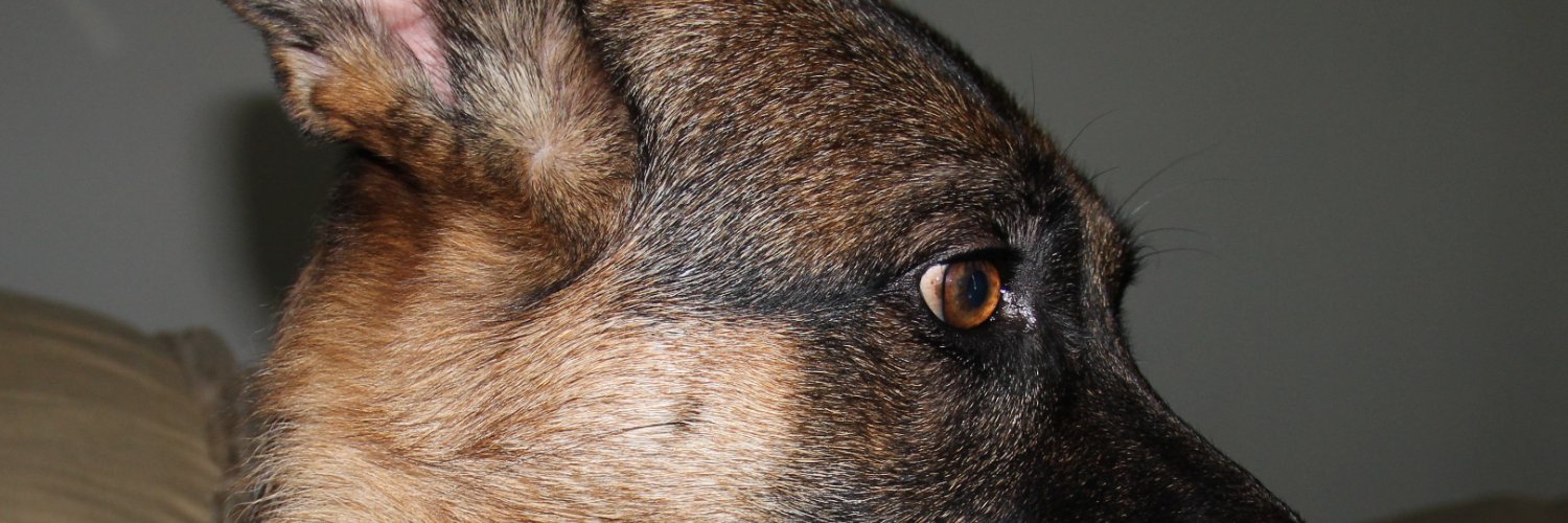 Kevin M. Ryan lives for love. banner