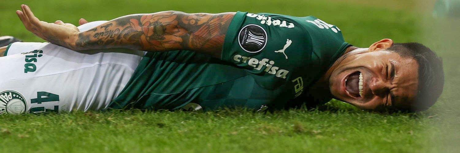 guizissimo's profile banner image