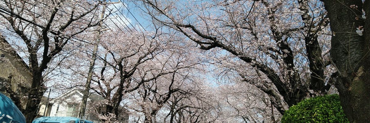 里郁 banner