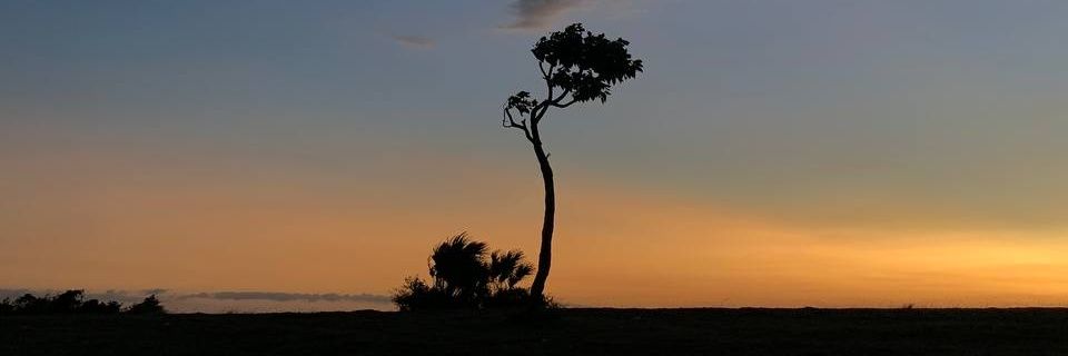 cim_ banner