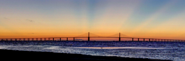 IONTB Profile Banner