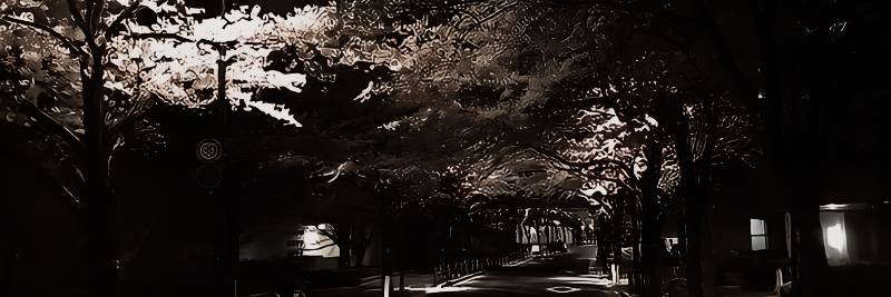 Vanné. banner