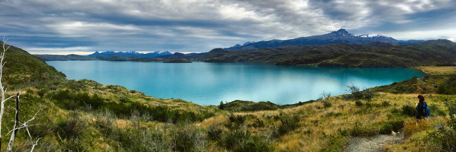 LisaMBregman's profile banner image