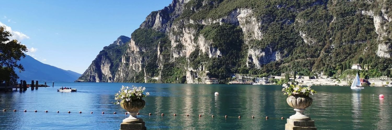 VSK ⚘️☕️🍰🍷🥂🐈‍⬛ banner