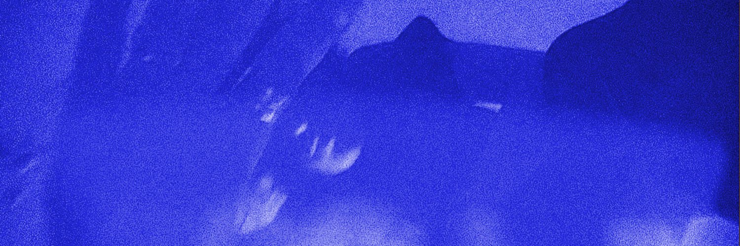 rylieghrox's profile banner image