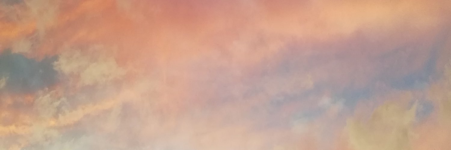 そらぷー banner