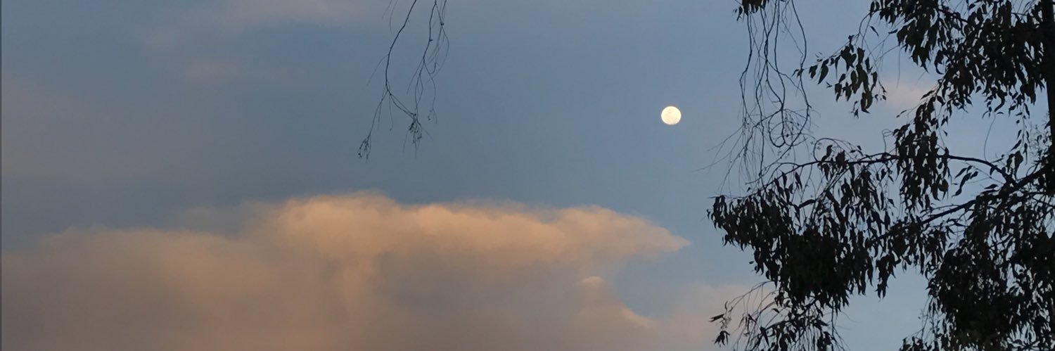lodefulana's profile banner image