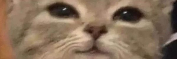 designsbymonic Profile Banner