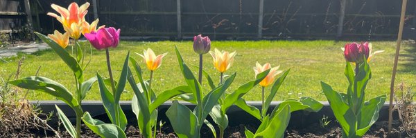 mrleeleencfc Profile Banner