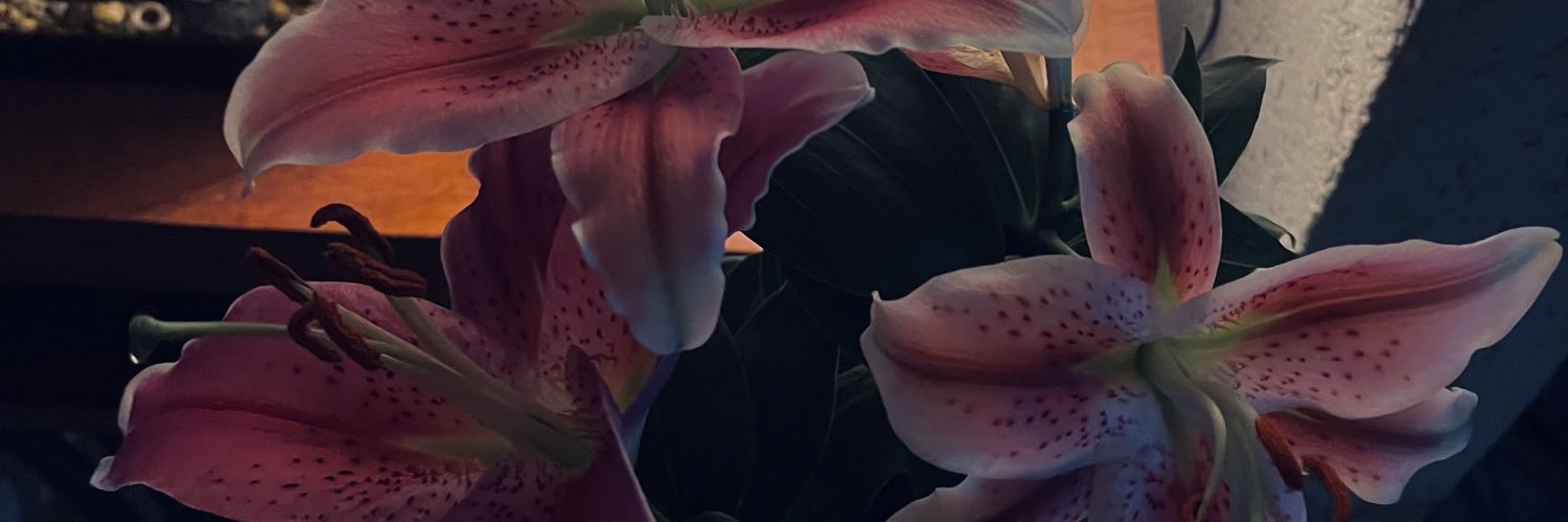 sofiboobss's profile banner image