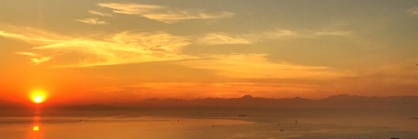 protaucol Profile Banner