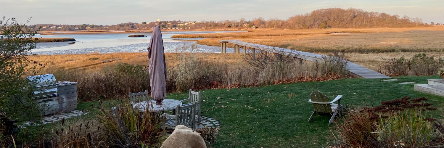 nancy_lederman's profile banner image
