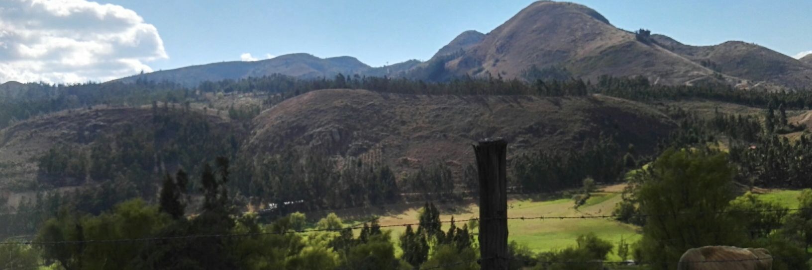 bhilliny10's profile banner image