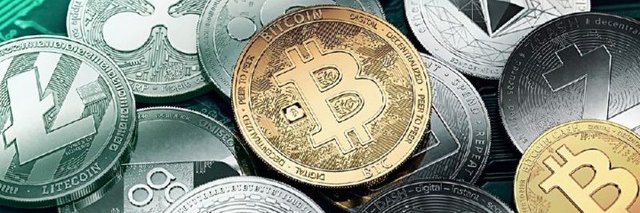 Nazmi haj bakour banner