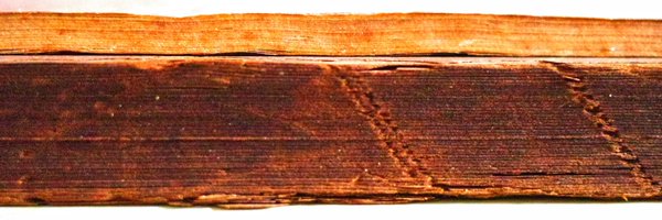 levyhammann Profile Banner
