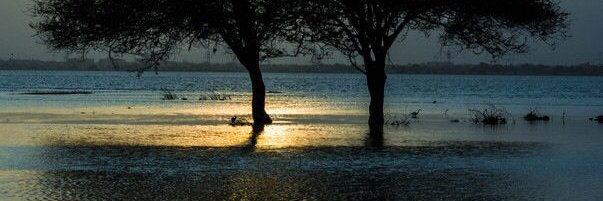 bashir_khairx7's profile banner image