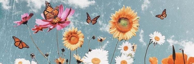 Biankii97's profile banner image