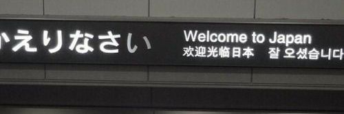 yolibo banner