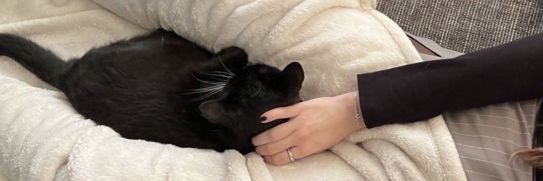 emilia ꨄ🍒 banner