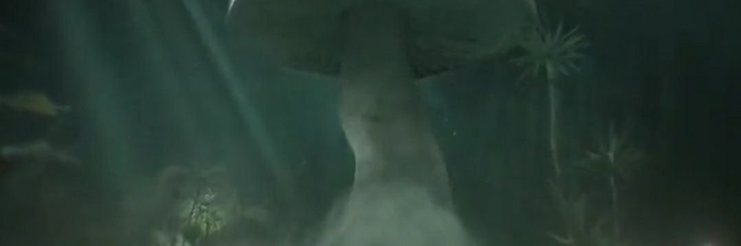 LouisFZ 🍄🍃 banner