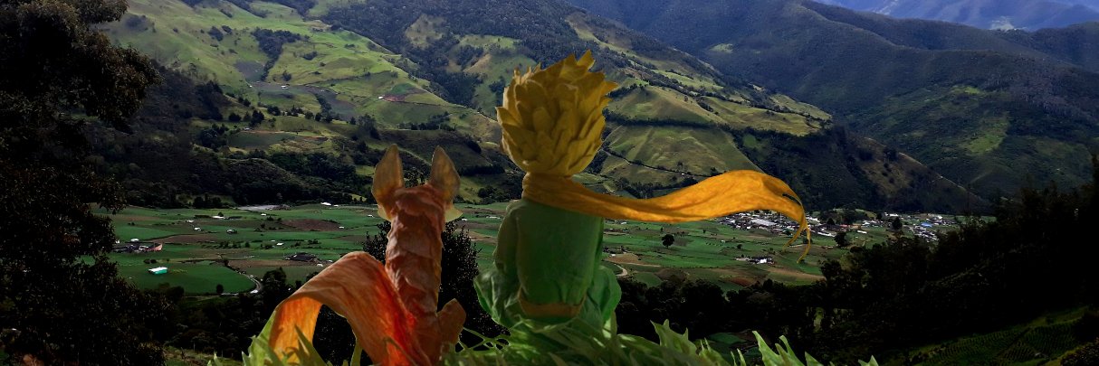 REY BURGOS - 🤞🏻👑 banner