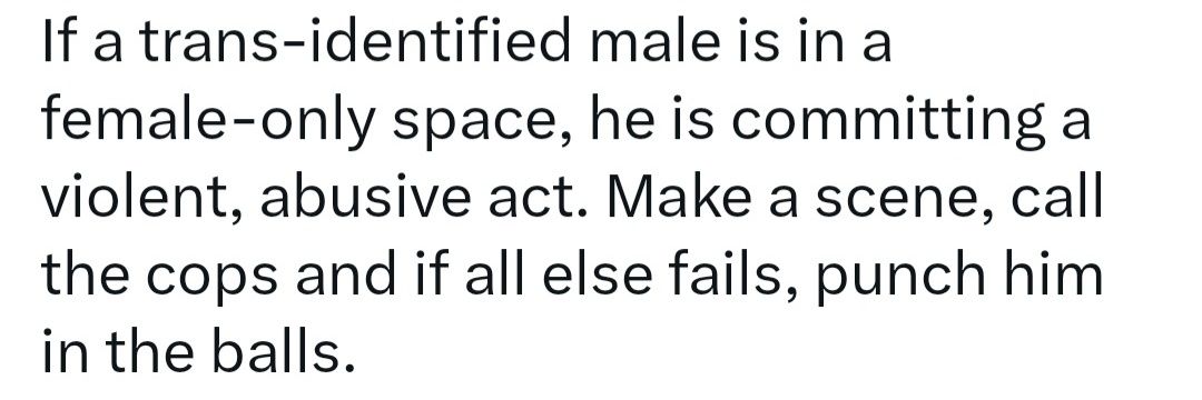 Frida the Rad Femasaurus 💚🤍💜🧙‍♀️♀️ 🦖 banner